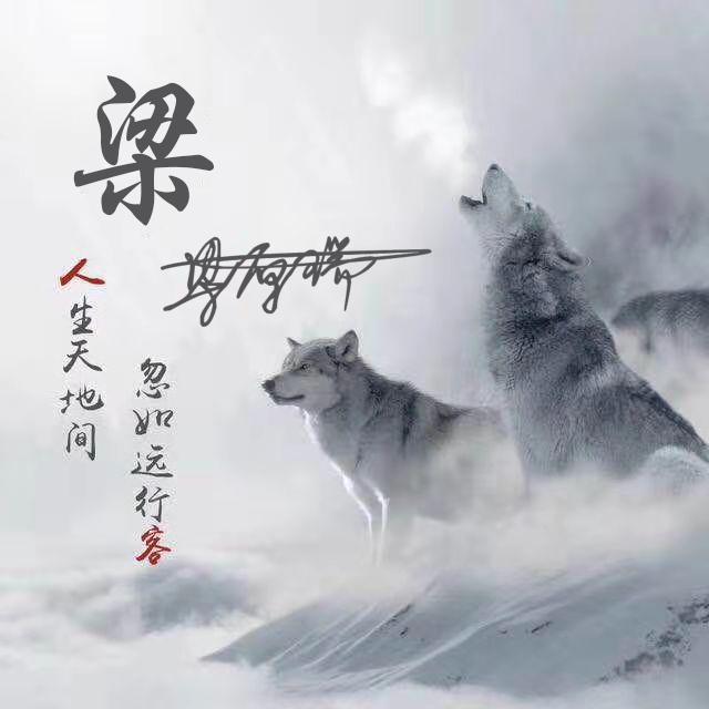 2019年最火微信头像,个性签名头像大全,让你在好友列表脱颖而出