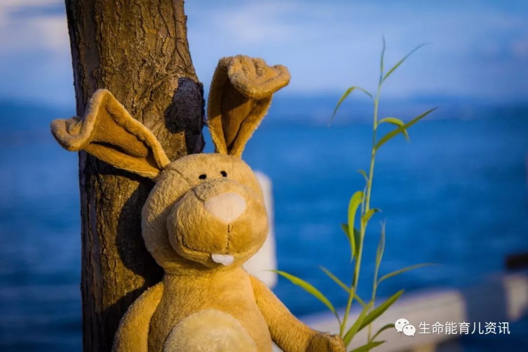 成功的教育是帮助孩子从习得性无助到习得