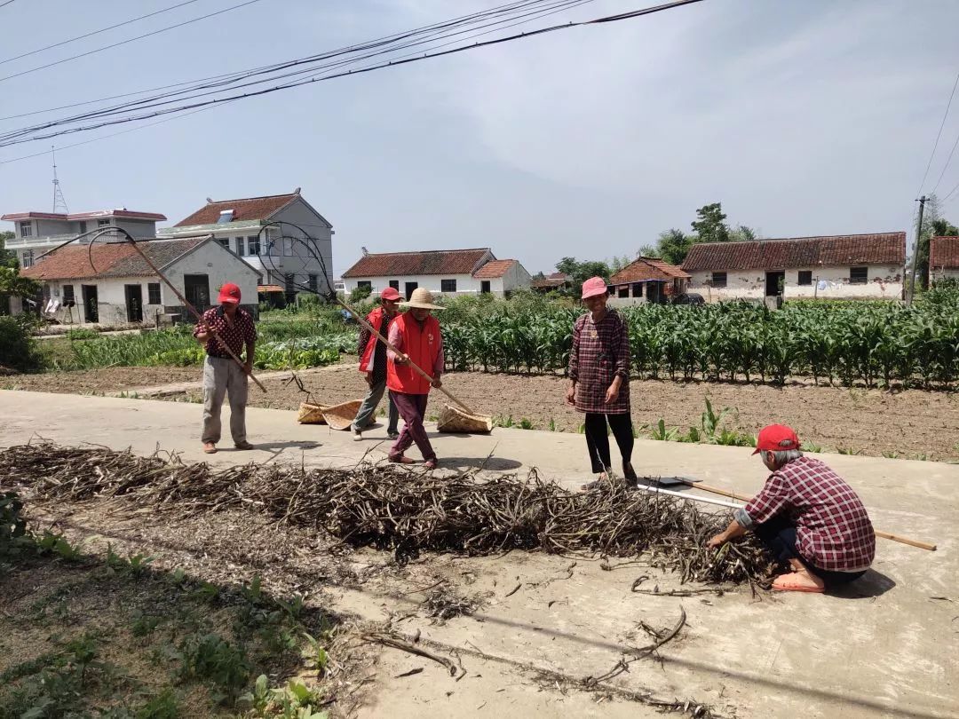 新时代文明实践|伴着夏至的蝉鸣,汇龙镇第三季度重点志愿服务项目清单