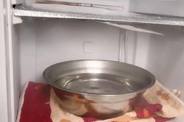 29f80423083142cdaeeac6c5b0ff8a6e.jpeg