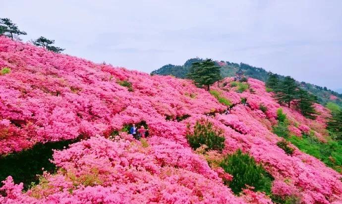 原創
            鄂豫皖邊界的低調城市，蘇軾為它癡迷，風景美爆還藏了個避暑勝地！ 旅遊 第17張