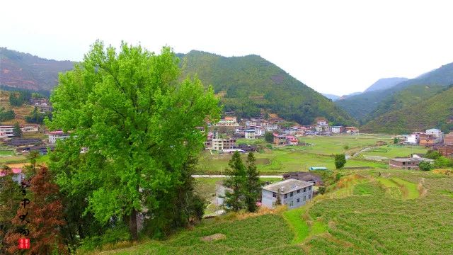 清流县赖坊镇南山村三明市清流县赖坊镇官坊村三明市明溪县夏阳乡旦上