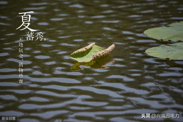 什么时候开始昼长夜短 362603ba530c4a6588f7812881d15a7c.jpeg