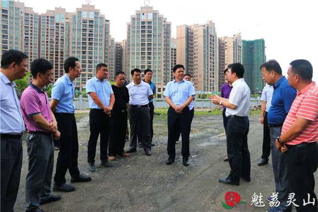 刘钦调研城市道路建设