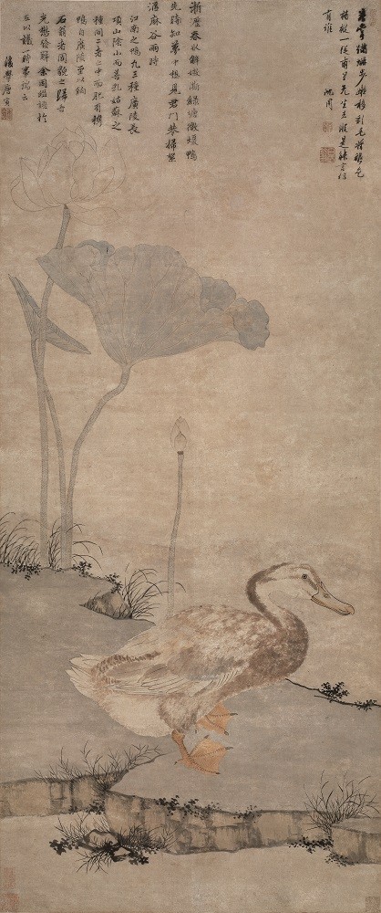Ǩɲ  ܡѼͼᡷ
