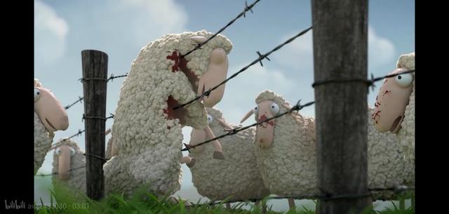 血腥版《小羊肖恩》？可爱小羊为何自寻死路？
