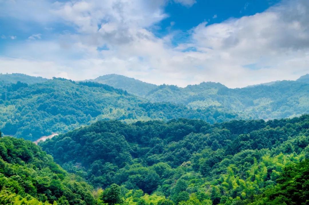 原創
            鄂豫皖邊界的低調城市，蘇軾為它癡迷，風景美爆還藏了個避暑勝地！ 旅遊 第1張