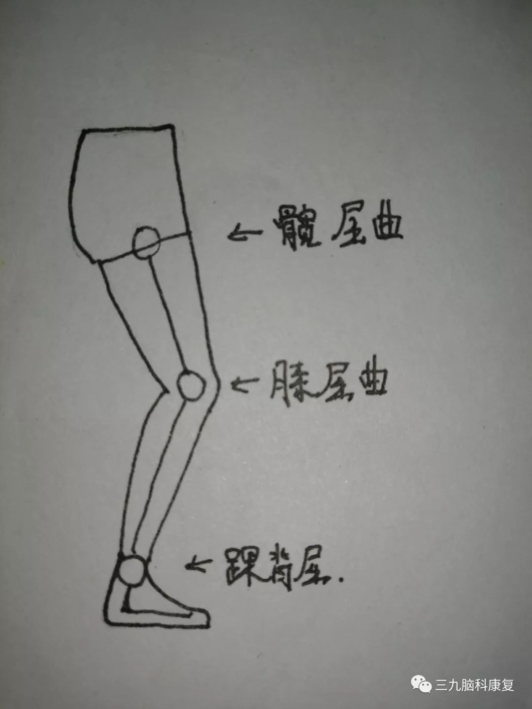 一文读懂儿童蹲伏步态及其训练方法