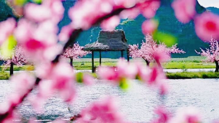 原創
            避暑旅遊去雲南普者黑，這個小眾彝家水鄉，沒想到倒是絕美賞荷花勝地 旅遊 第2張