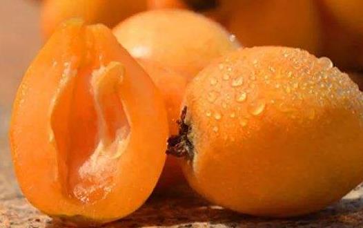 枇杷果怎么吃的 4c3c0e505de14e7ca9e15796b8e3b22c.jpeg