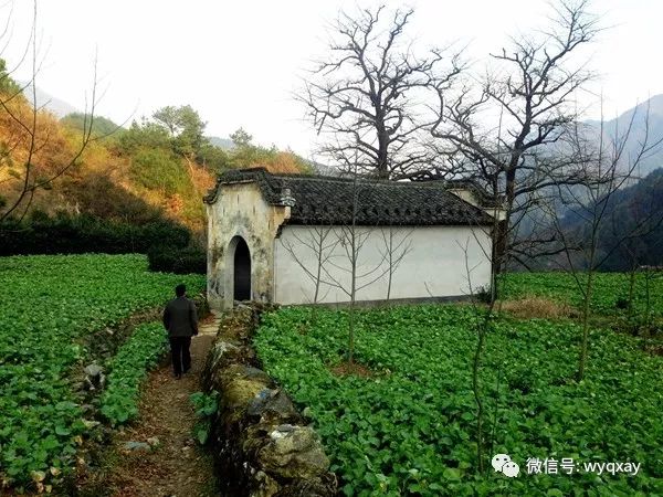 黄山市歙县昌溪乡关山村 黄山市歙县武阳乡武阳村 黄山市歙县武阳乡
