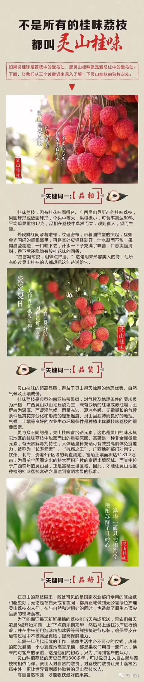 【2019灵山荔枝节】不是所有的桂味荔枝,都叫灵山桂味!