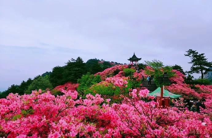 原創
            鄂豫皖邊界的低調城市，蘇軾為它癡迷，風景美爆還藏了個避暑勝地！ 旅遊 第18張