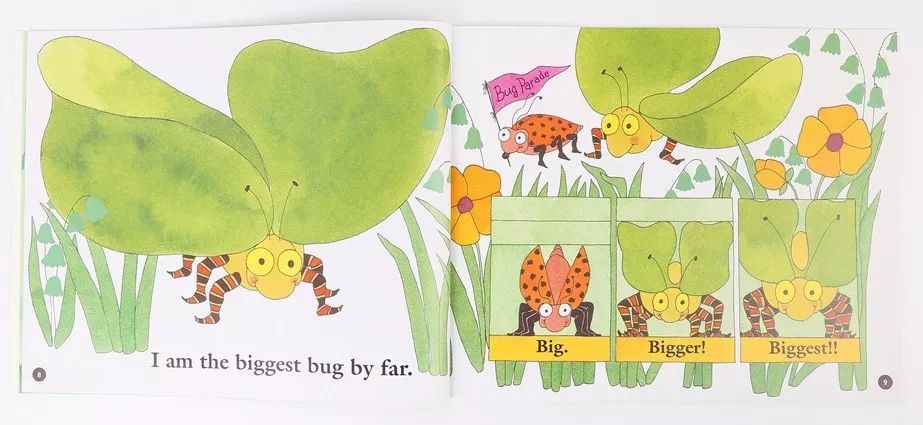 虫子 caterpillar n. 毛毛虫 butterfly n. 蝴蝶 ladybug n.