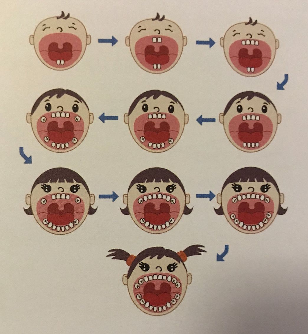                     哎呀，娃就这么几颗小乳牙，早晚都得换掉，还刷什么刷哟？