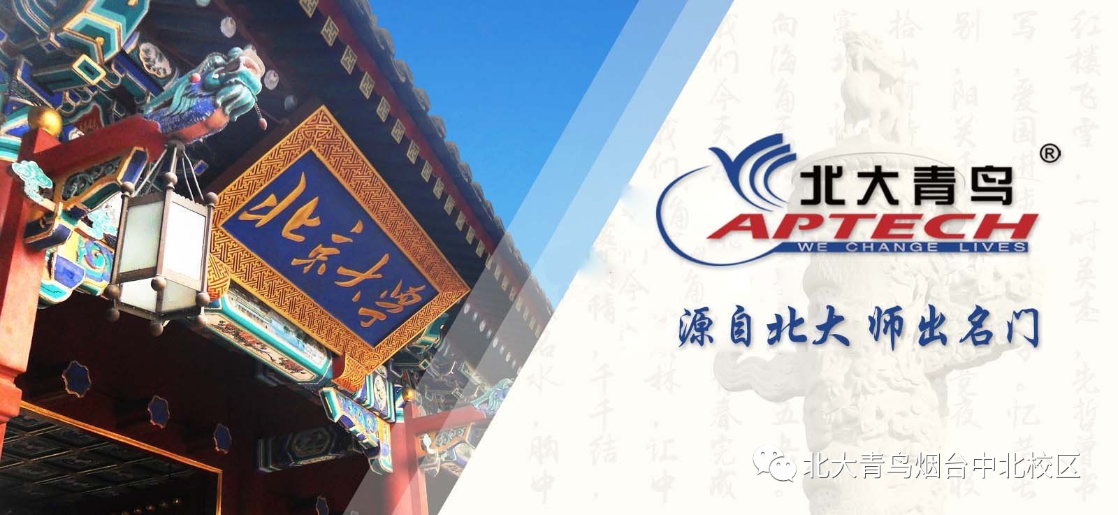 北大青鸟seo 来自搜狐网