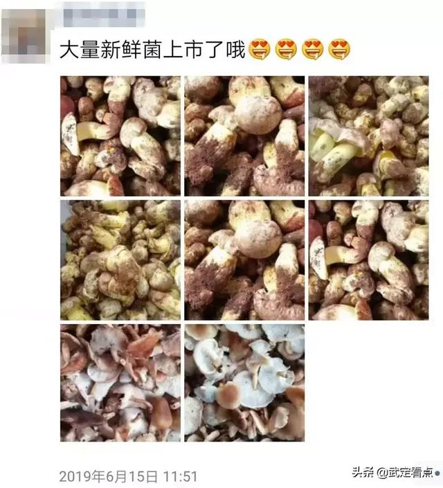 彝山彝水等你来简谱_苗家山寨等你来简谱