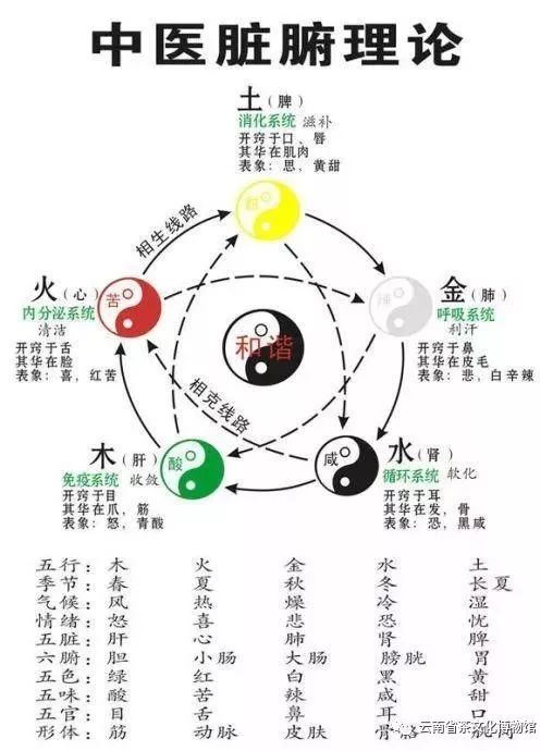 【文化讲坛】仁,义,礼,智,信对五脏的影响(二)