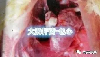 889ce9765a25465ea9099d89c0f09246.jpeg