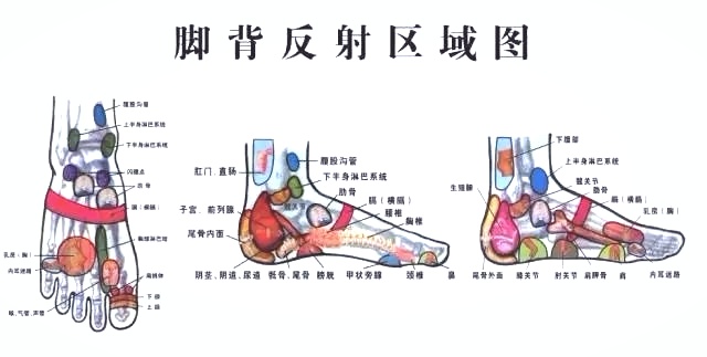 按脚背可治咳嗽-搜狐大右-搜狐新闻