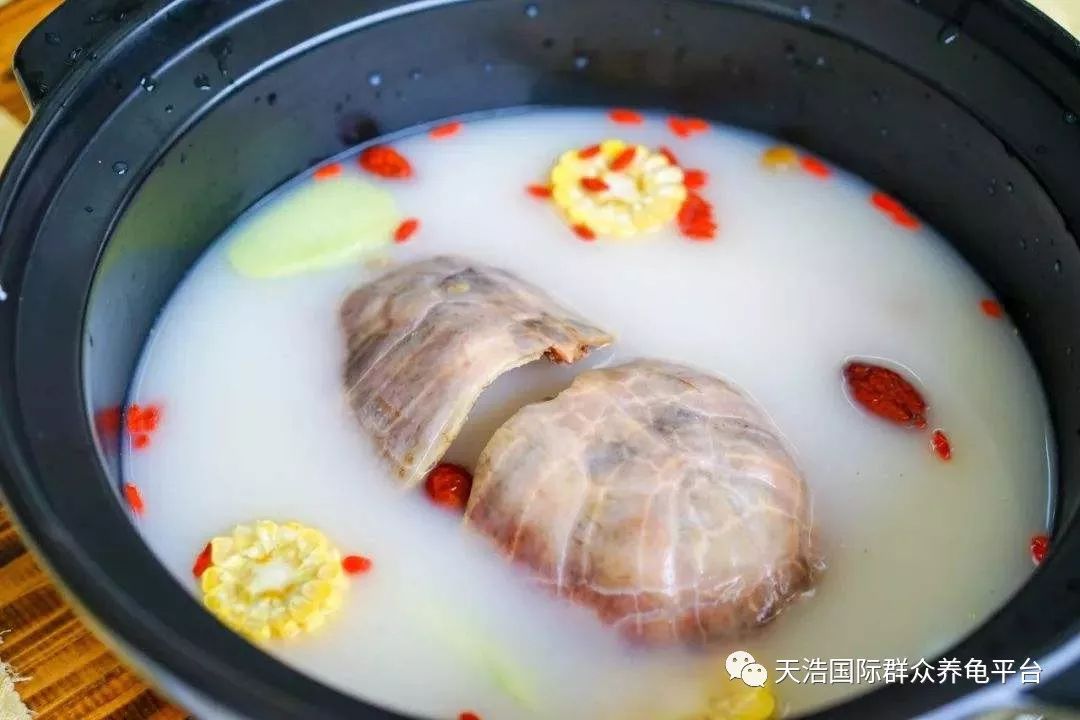 乌龟汤怎样做 94a2376e8e544f34a59d3f526b375602.jpeg