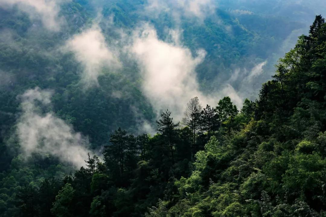 原創
            鄂豫皖邊界的低調城市，蘇軾為它癡迷，風景美爆還藏了個避暑勝地！ 旅遊 第13張