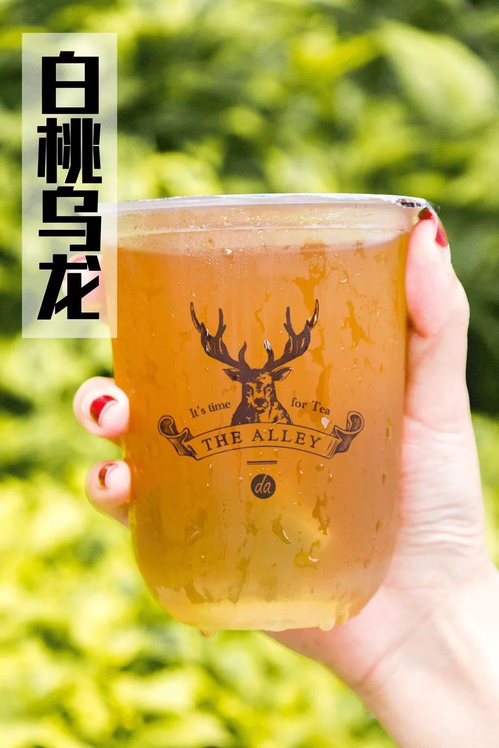 搭配牛乳和奶粉调配出来的奶茶更加香醇, 5 再点一杯「白桃乌龙」