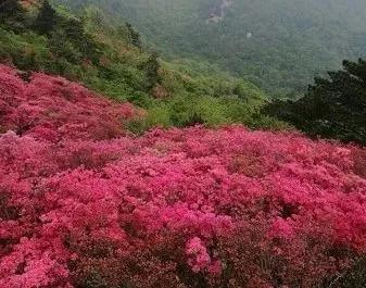 原創
            鄂豫皖邊界的低調城市，蘇軾為它癡迷，風景美爆還藏了個避暑勝地！ 旅遊 第20張