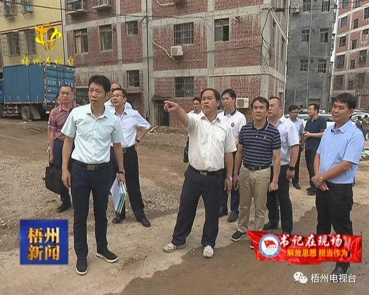 尽快行动动担当办好事情 全桂寿李杰云率队狮卧山和城市建设有