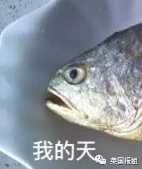                     耳朵上有这个小洞，你就是天选之人了？！