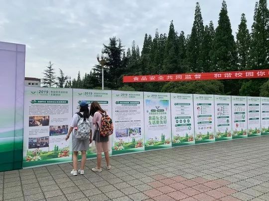 四川有多少人口2019_四川人口变化趋势图(2)