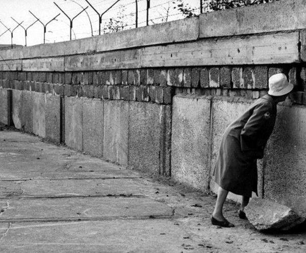 血腥版《小羊肖恩》？可爱小羊为何自寻死路？