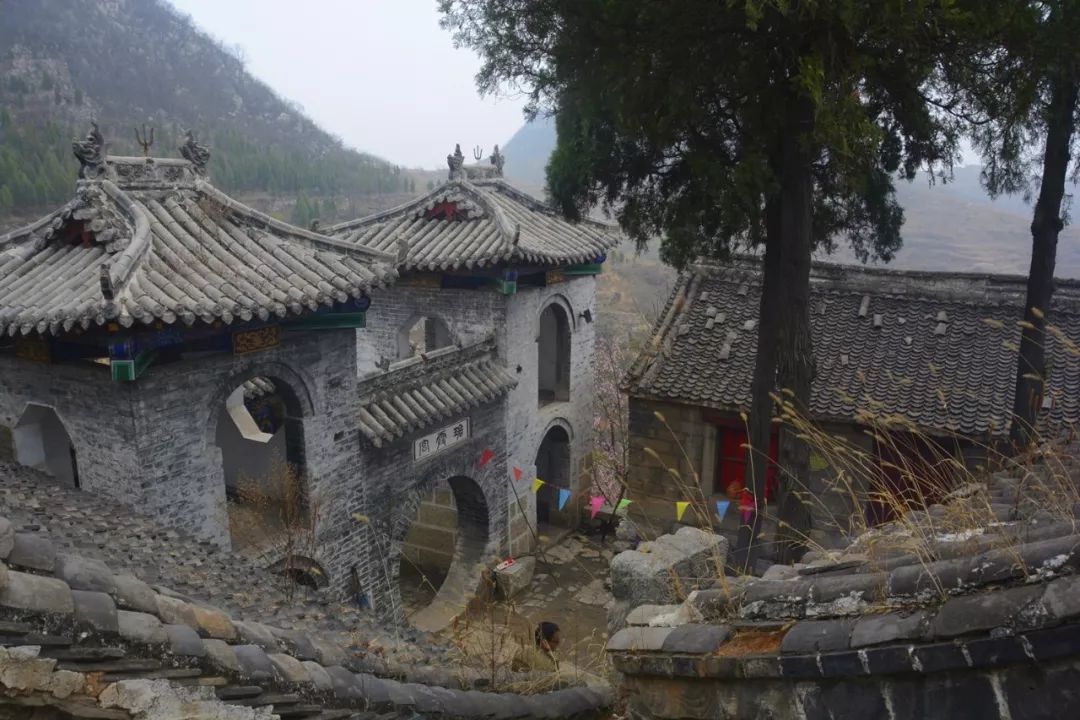 民胞物什么成语_成语故事简笔画(2)