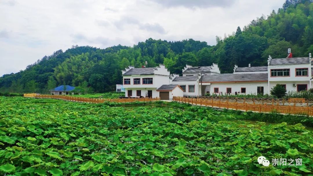 大美崇阳家乡巨变崇阳全域高清航拍视频首发