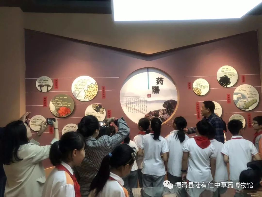喜报│陆有仁中草药博物馆获评第二批浙江省中医药文化宣传教育基地