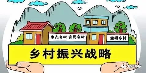 推动乡村振兴