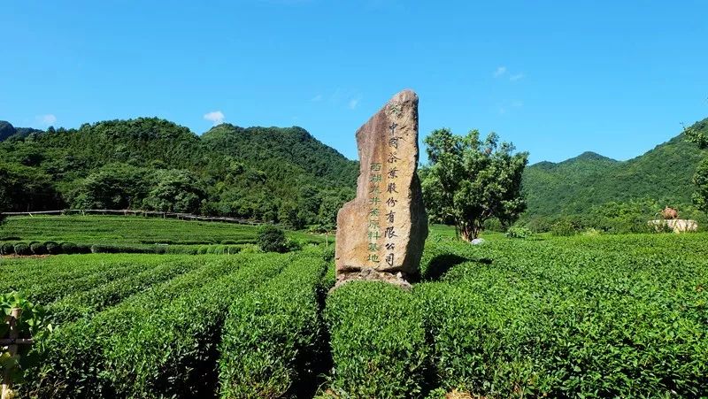 【洞天福地】6月30日 游杭州灵山幻境,逛龙坞茶村,休闲一日游