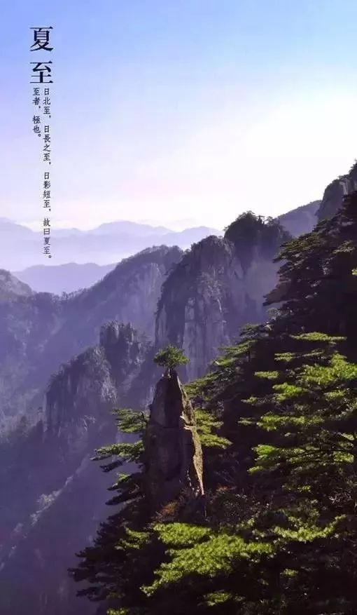 今日夏至:心静了,世界再燥热,也能从容自如