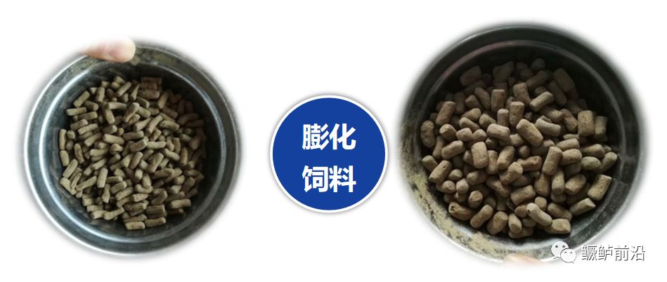 鳜鱼膨化饲料