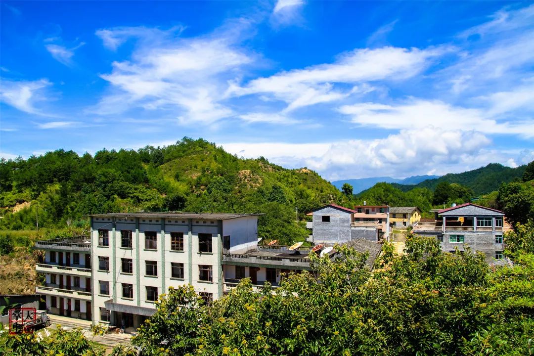 市清流县李家乡鲜水村三明市清流县赖坊镇南山村三明市清流县赖坊镇官