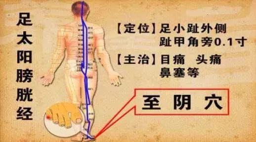 龙脊灸的原理_谁知道真正的归元灸原理是什么 效果如何(2)