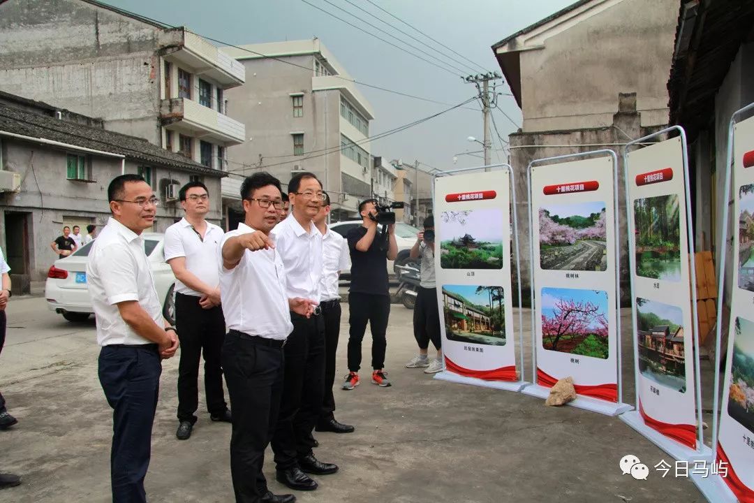 温州市政协副主席瑞安市委书记陈胜峰到马屿镇调研新村社区融合发展