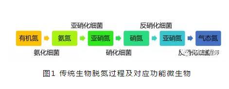 盐氮,硝酸盐氮在缺氧条件下由异养型的反硝化细菌还原为亚硝酸盐氮,并