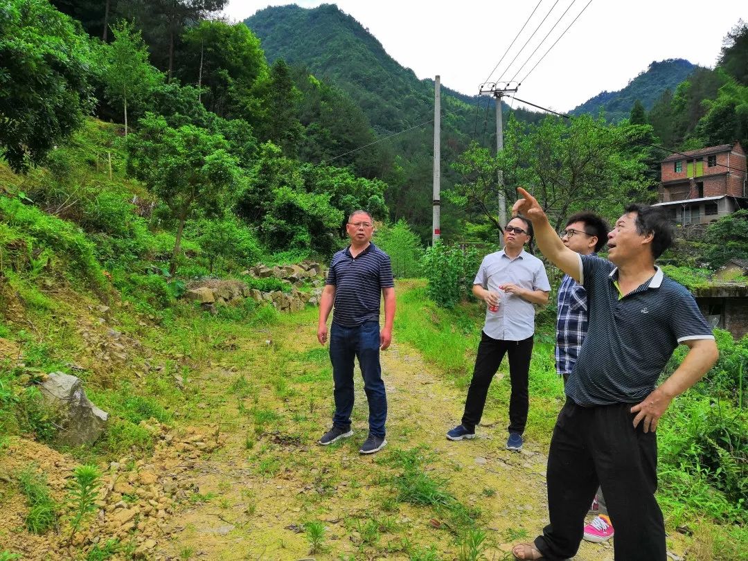 县农业农村局产业科组织相关专家到大源镇龙坑等地,实地踏勘2019年县