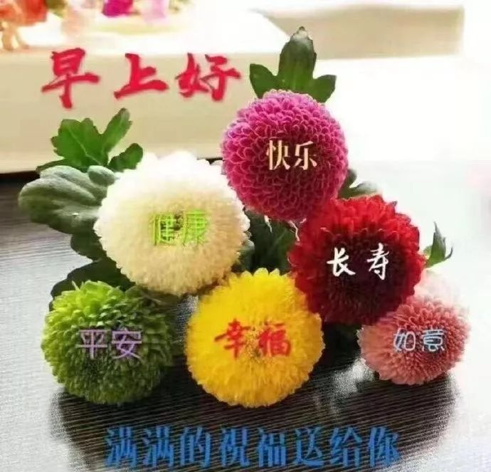 祝福早安动态祝福图片带字配鲜花,清晨问候早安表情包