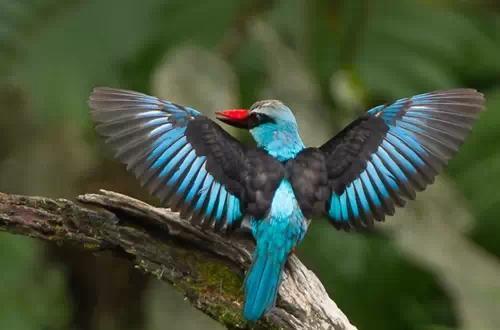 ������Hermes������40����,һ�ο�����!