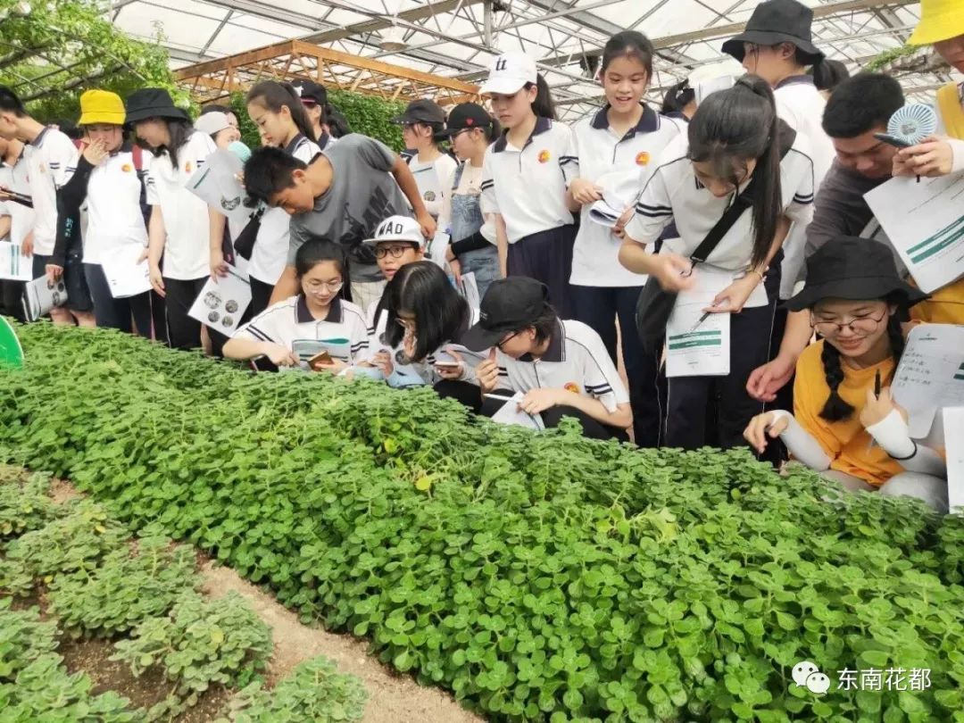 壁纸 成片种植 风景 植物 种植 桌面 1080_810