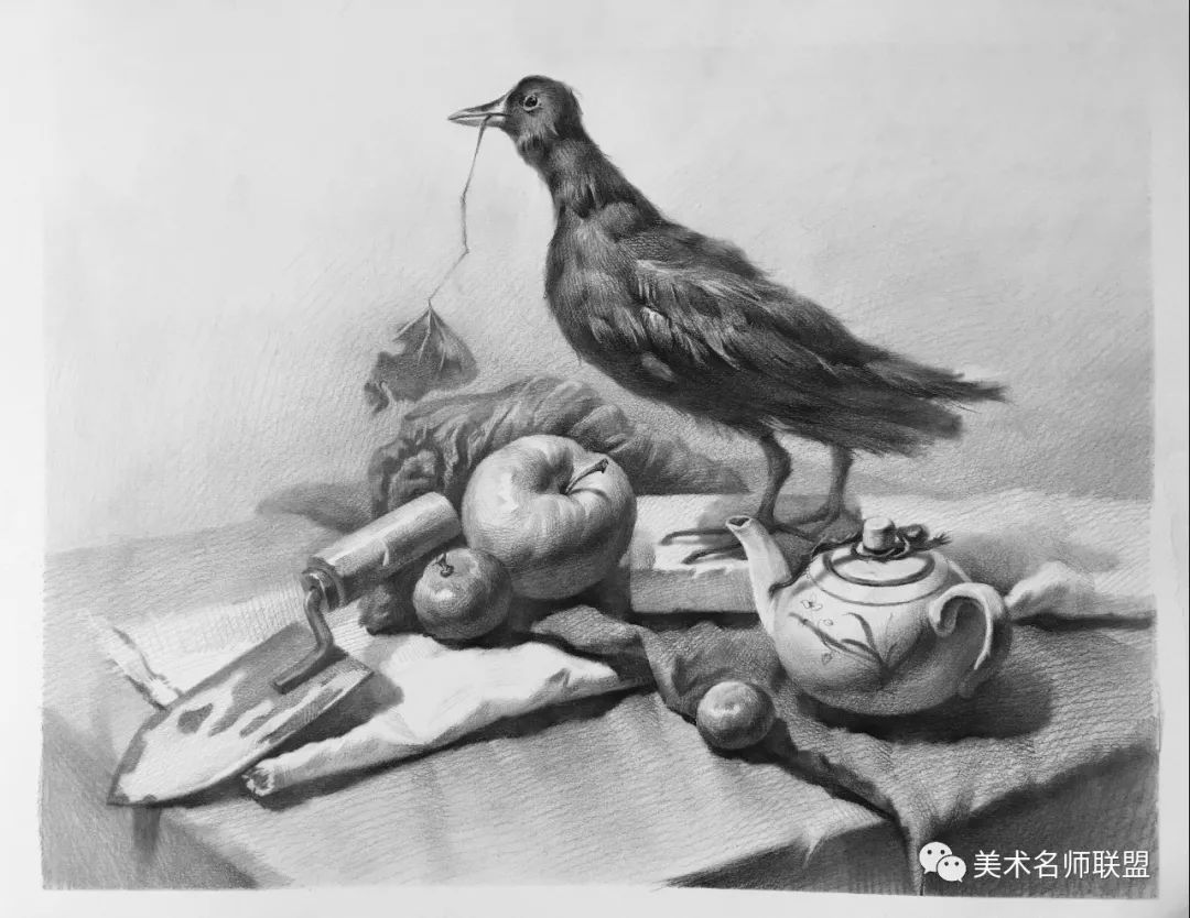 素描名师·贾维颢 ~解读素描静物高分攻略