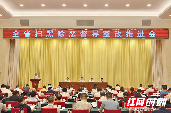 全省扫黑除恶督导整改推进会召开