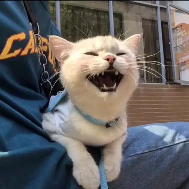 要我强颜欢笑吗